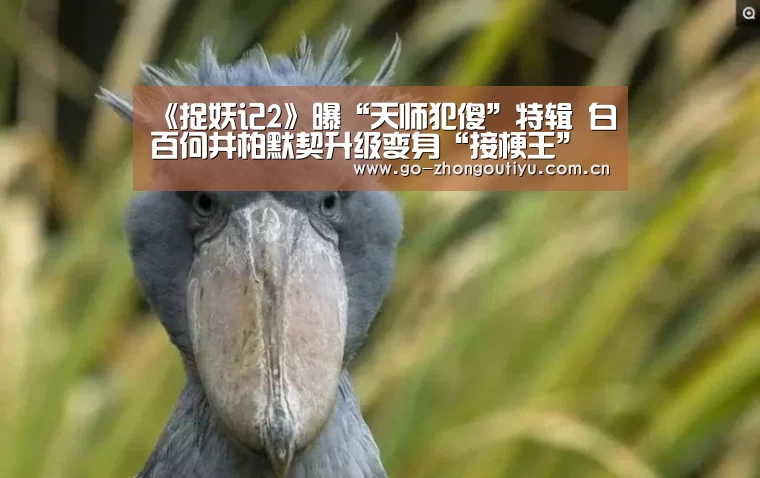中欧体育官网