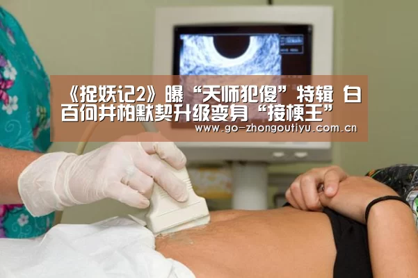 中欧体育官网