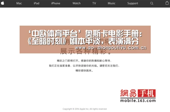 ‘中欧体育平台’奥斯卡电影手册:《至暗时刻》剧本平淡,表演满分(图4) 中欧体育平台