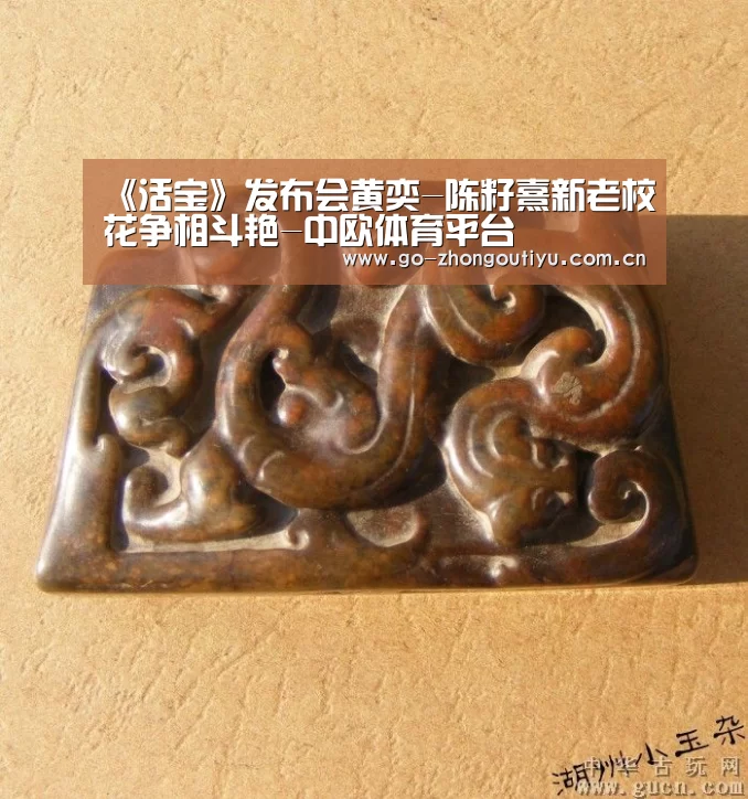 中欧体育平台