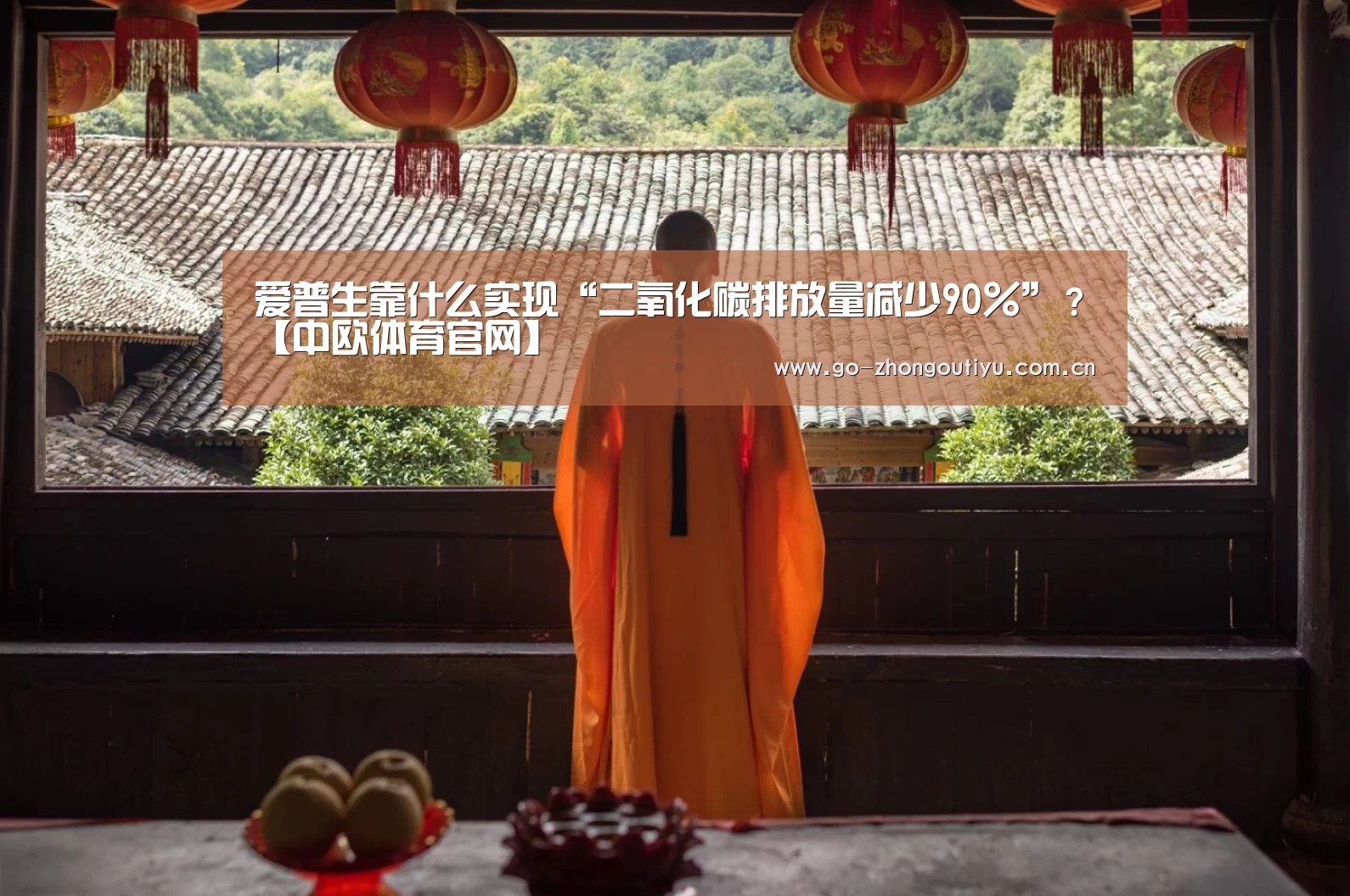 中欧体育平台