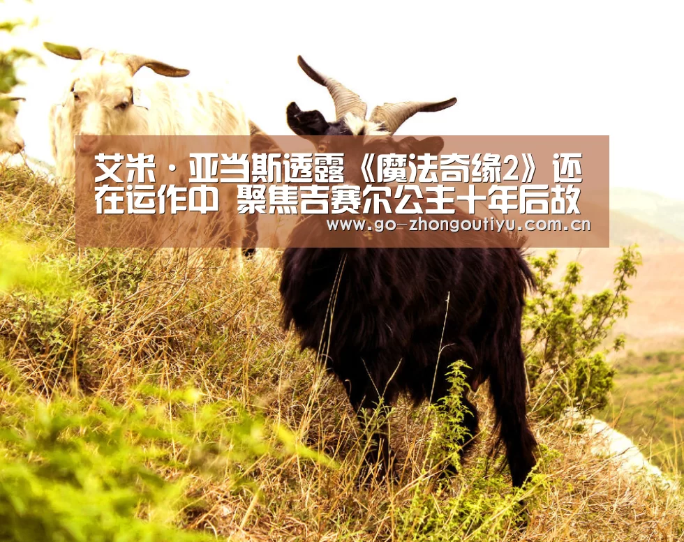 艾米·亚当斯透露《魔法奇缘2》还在运作中 聚焦吉赛尔公主十年后故事:中欧体育(图2) zoty体育