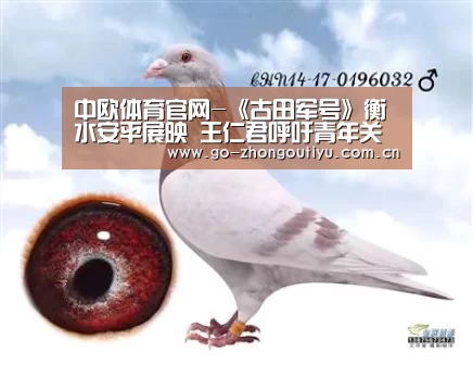 中欧体育官网-《古田军号》衡水安平展映 王仁君呼吁青年关注历史(图4) 中欧体育平台