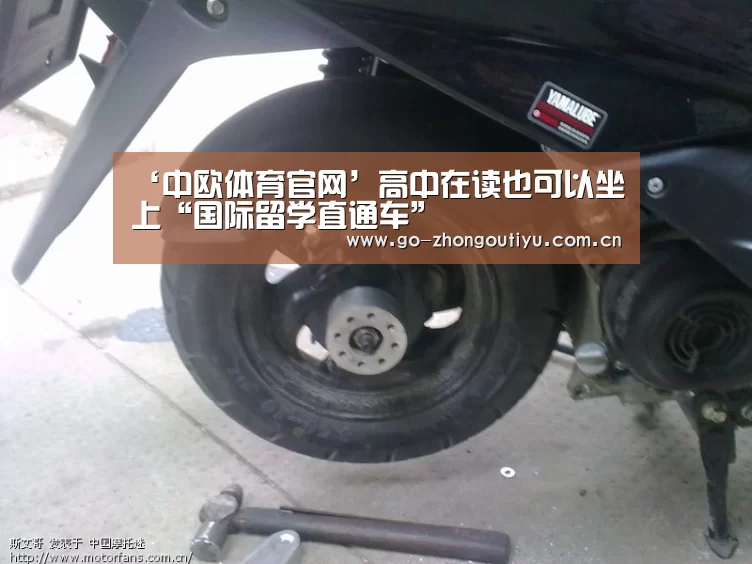 ‘中欧体育官网’高中在读也可以坐上“国际留学直通车”(图1) 中欧体育平台